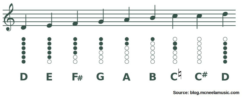 Tin Whistle Fingering is Simple