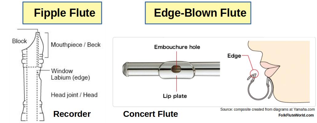 Fipple versus Edge-Blown Flutes