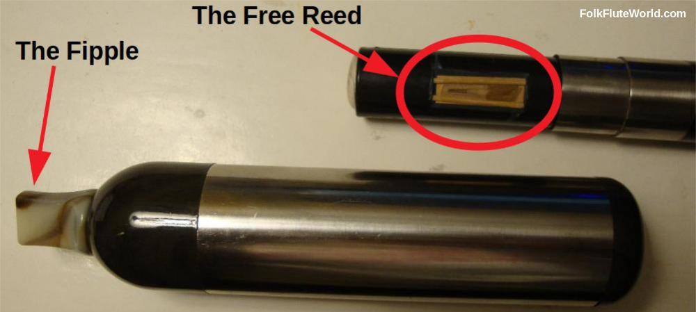 The Free Reed