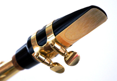 A Saxophone Mouthpiece with Reed
