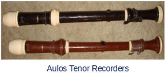 Review of Aulos Tenor Recorder